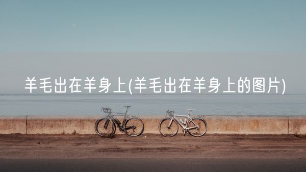 羊毛出在羊身上(羊毛出在羊身上的图片)(图1)