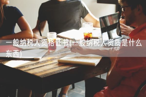 一般纳税人资格证书(一般纳税人资质是什么东西)(图1)