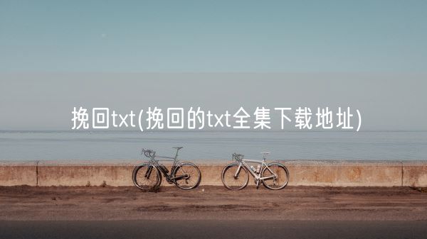 挽回txt(挽回的txt全集下载地址)(图1)