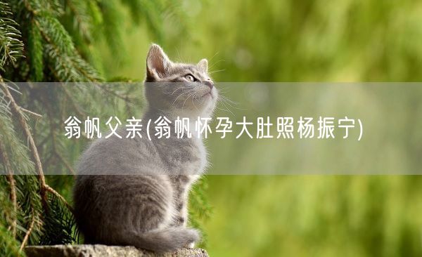 翁帆父亲(翁帆怀孕大肚照杨振宁)(图1)