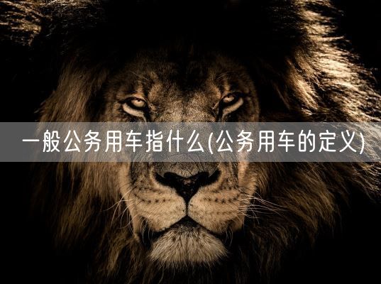 一般公务用车指什么(公务用车的定义)(图1)