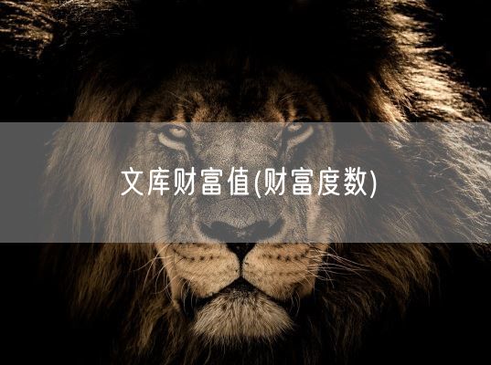 文库财富值(财富度数)(图1)
