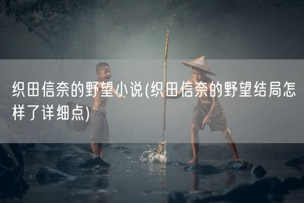 织田信奈的野望小说(织田信奈的野望结局怎样了详细点)(图1)