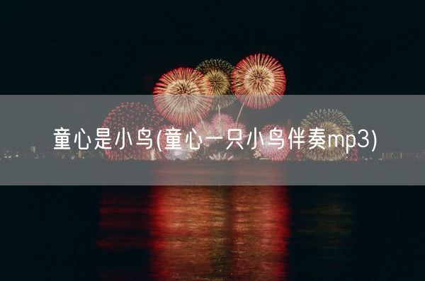 童心是小鸟(童心一只小鸟伴奏mp3)(图1)