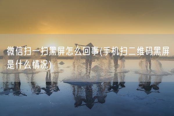 微信扫一扫黑屏怎么回事(手机扫二维码黑屏是什么情况)(图1)