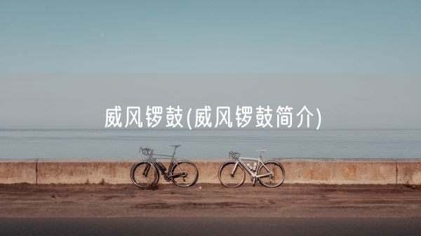 威风锣鼓(威风锣鼓简介)(图1)
