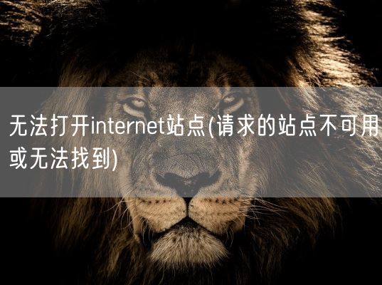无法打开internet站点(请求的站点不可用或无法找到)(图1)