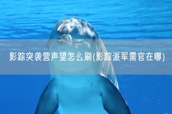 影踪突袭营声望怎么刷(影踪派军需官在哪)(图1)