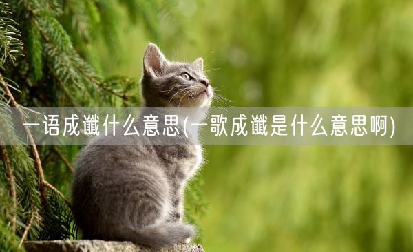 一语成谶什么意思(一歌成谶是什么意思啊)(图1)