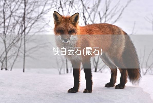 铁白云石(霰石)(图1)