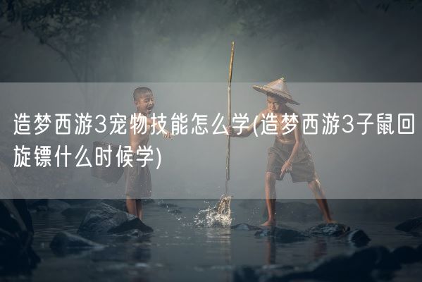 造梦西游3宠物技能怎么学(造梦西游3子鼠回旋镖什么时候学)(图1)
