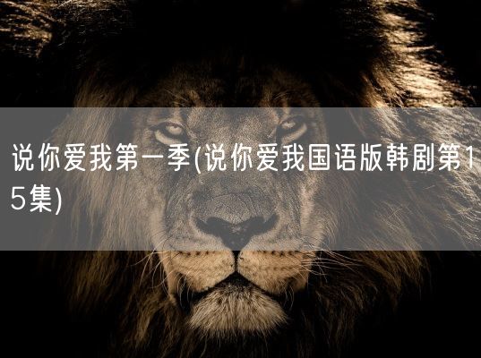 说你爱我第一季(说你爱我国语版韩剧第15集)(图1)