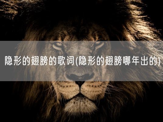 隐形的翅膀的歌词(隐形的翅膀哪年出的)(图1)