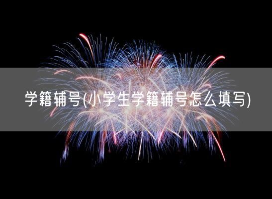 学籍辅号(小学生学籍辅号怎么填写)(图1)