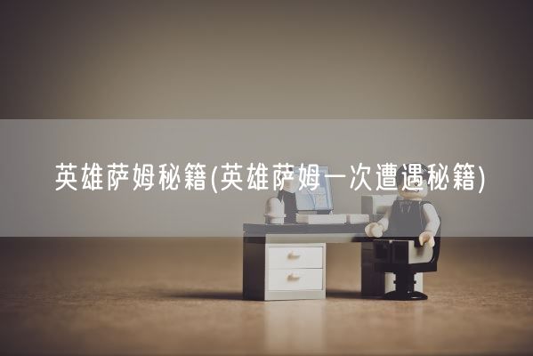 英雄萨姆秘籍(英雄萨姆一次遭遇秘籍)(图1)