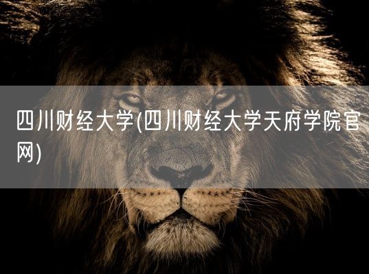 四川财经大学(四川财经大学天府学院官网)(图1) 四川财经大学(四川财经大学天府学院官网)(图1)