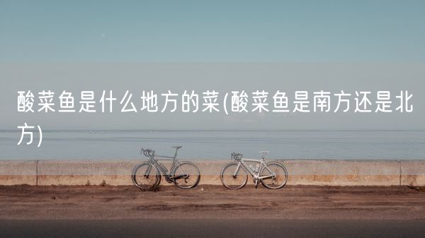 酸菜鱼是什么地方的菜(酸菜鱼是南方还是北方)(图1)