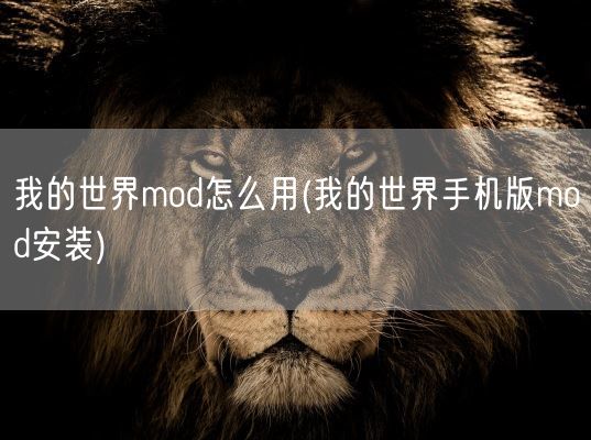 我的世界mod怎么用(我的世界手机版mod安装)(图1)