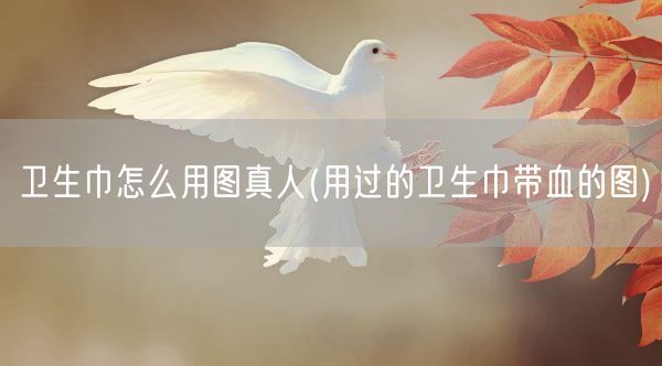 卫生巾怎么用图真人(用过的卫生巾带血的图)(图1)