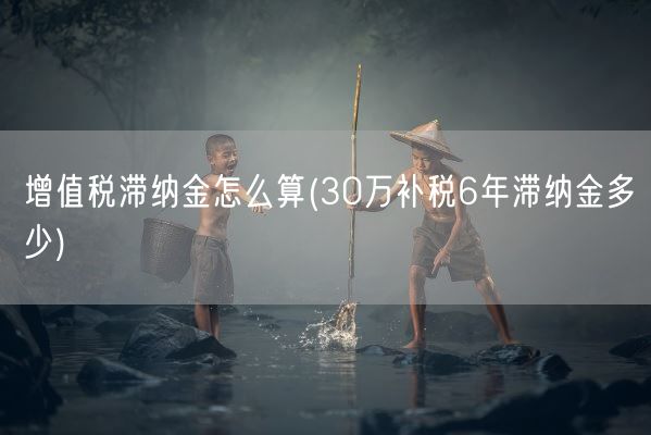 增值税滞纳金怎么算(30万补税6年滞纳金多少)(图1)