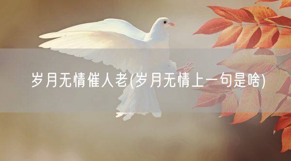 岁月无情催人老(岁月无情上一句是啥)(图1)