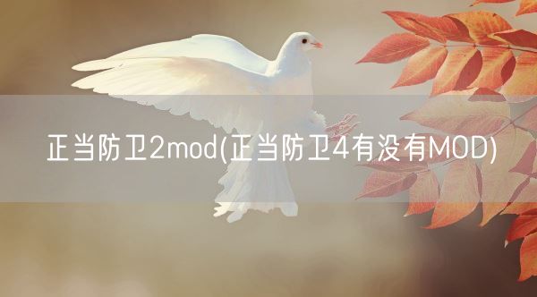 正当防卫2mod(正当防卫4有没有MOD)(图1)