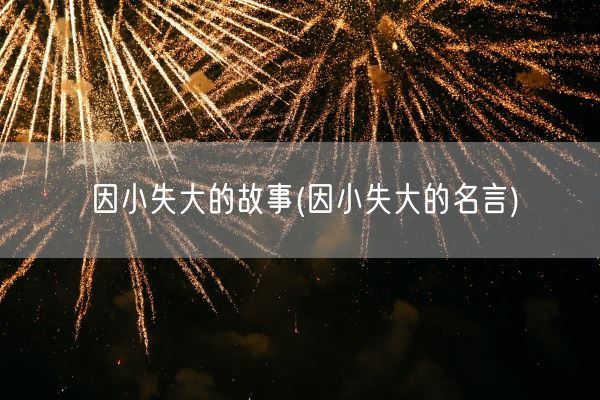 因小失大的故事(因小失大的名言)(图1)