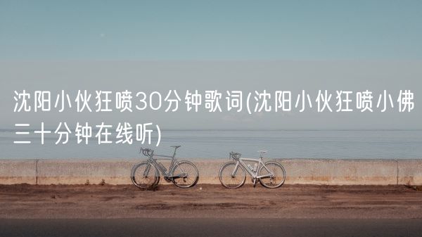 沈阳小伙狂喷30分钟歌词(沈阳小伙狂喷小佛三十分钟在线听)(图1)