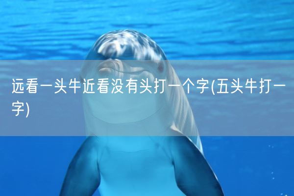 远看一头牛近看没有头打一个字(五头牛打一字)(图1)
