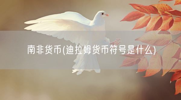 南非货币(迪拉姆货币符号是什么)(图1)