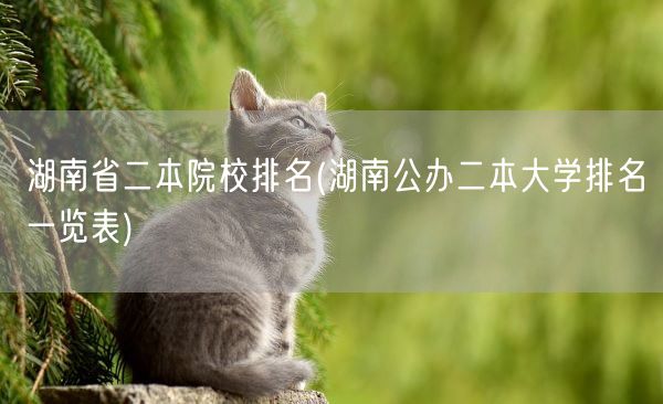 湖南省二本院校排名(湖南公办二本大学排名一览表)(图1)