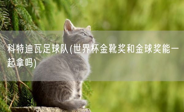 科特迪瓦足球队(世界杯金靴奖和金球奖能一起拿吗)(图1) 科特迪瓦足球队(世界杯金靴奖和金球奖能一起拿吗)(图1)