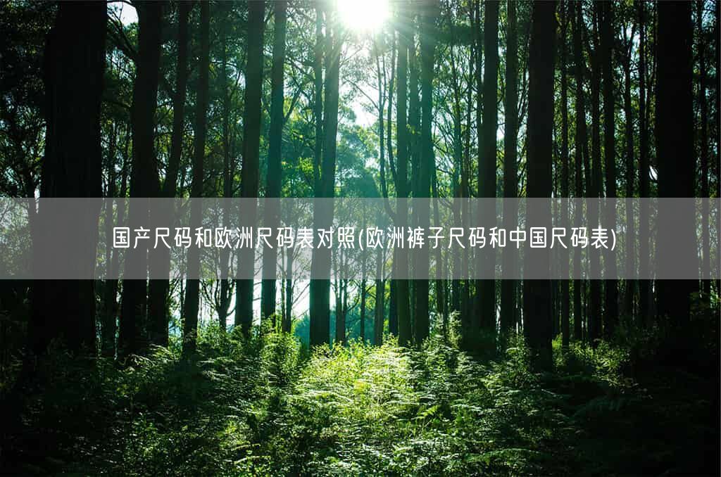 国产尺码和欧洲尺码表对照(欧洲裤子尺码和中国尺码表)(图1)