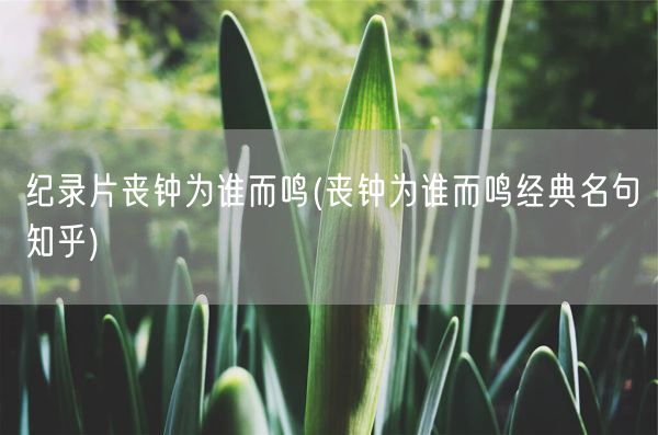 纪录片丧钟为谁而鸣(丧钟为谁而鸣经典名句知乎)(图1) 纪录片丧钟为谁而鸣(丧钟为谁而鸣经典名句知乎)(图1)
