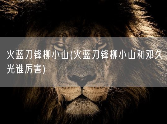 火蓝刀锋柳小山(火蓝刀锋柳小山和邓久光谁厉害)(图1) 火蓝刀锋柳小山(火蓝刀锋柳小山和邓久光谁厉害)(图1)