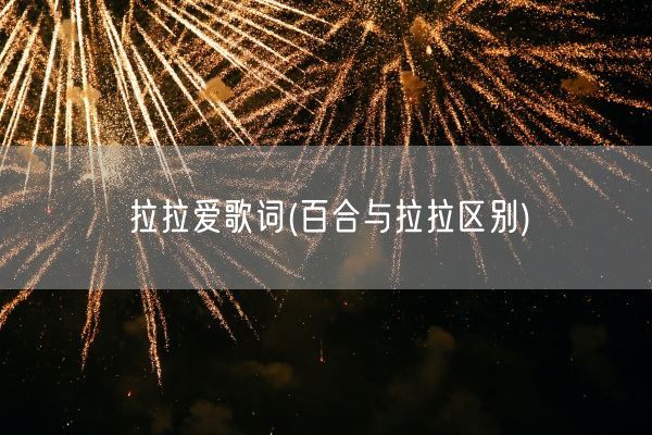 拉拉爱歌词(百合与拉拉区别)(图1)