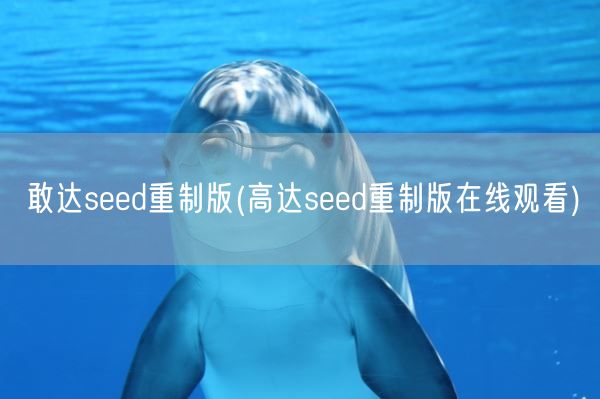 敢达seed重制版(高达seed重制版在线观看)(图1)
