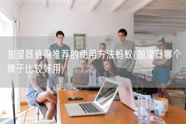 加湿器值得推荐的使用方法蚂蚁(加湿器哪个牌子比较好用)(图1) 加湿器值得推荐的使用方法蚂蚁(加湿器哪个牌子比较好用)(图1)