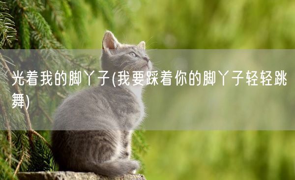 光着我的脚丫子(我要踩着你的脚丫子轻轻跳舞)(图1)