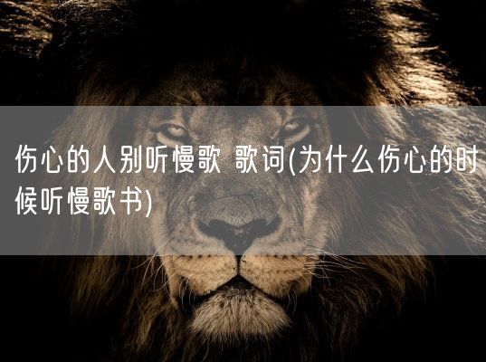 伤心的人别听慢歌 歌词(为什么伤心的时候听慢歌书)(图1)