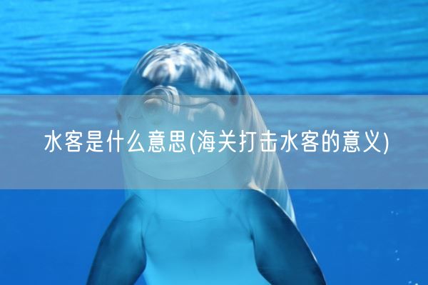 水客是什么意思(海关打击水客的意义)(图1)