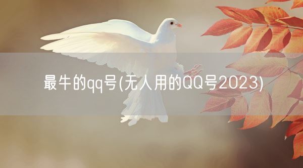 最牛的qq号(无人用的QQ号2023)(图1)
