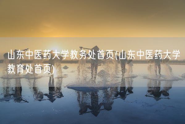 山东中医药大学教务处首页(山东中医药大学教育处首页)(图1)