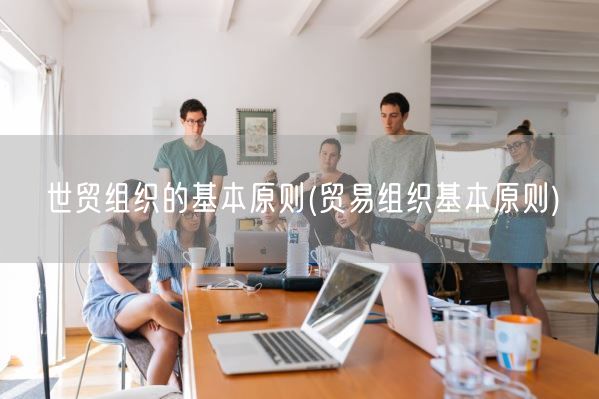 世贸组织的基本原则(贸易组织基本原则)(图1) 世贸组织的基本原则(贸易组织基本原则)(图1)
