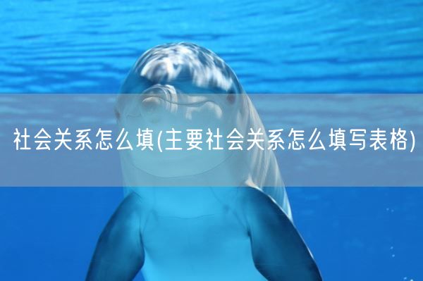 社会关系怎么填(主要社会关系怎么填写表格)(图1)