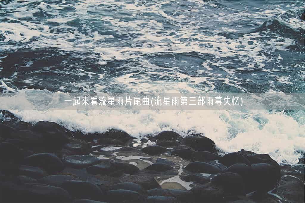 一起来看流星雨片尾曲(流星雨第三部雨荨失忆)(图1)