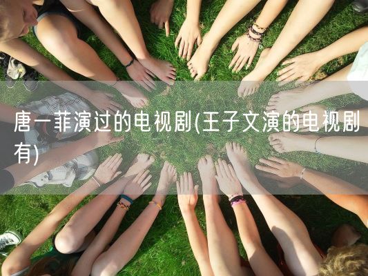 唐一菲演过的电视剧(王子文演的电视剧有)(图1)