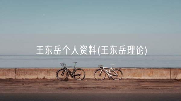 王东岳个人资料(王东岳理论)(图1) 王东岳个人资料(王东岳理论)(图1)