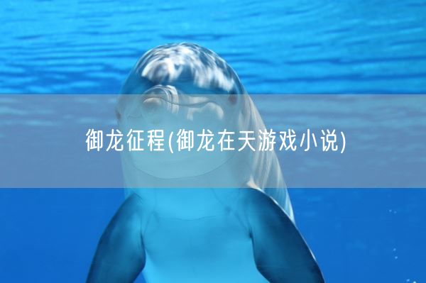 御龙征程(御龙在天游戏小说)(图1)