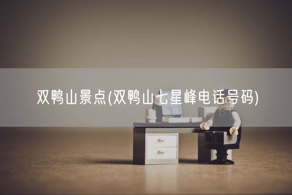 双鸭山景点(双鸭山七星峰电话号码)(图1)